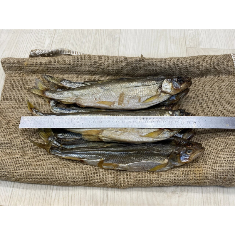 Риба корінця в“язана