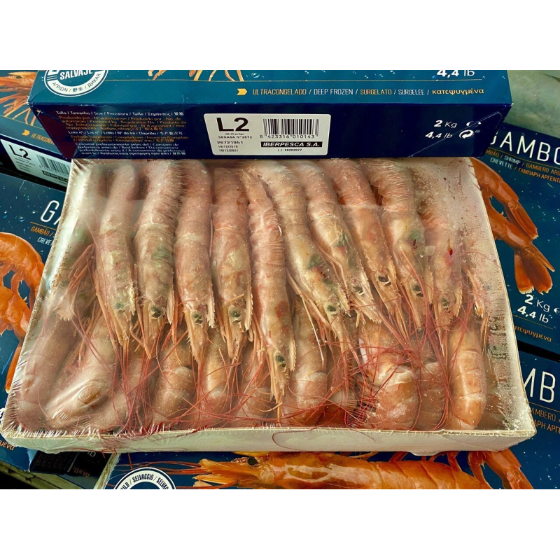 Королівська Креветка Langostino Austral L2