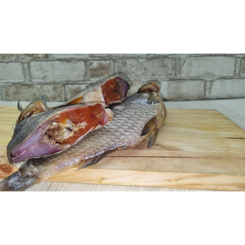 Плотва линяна